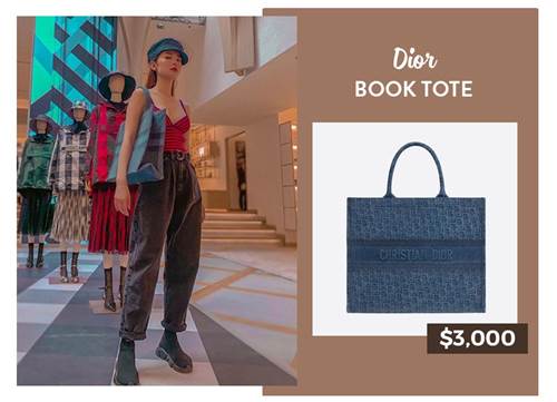 Dior Book Tote  Chiếc túi mang theo được cả thế giới  Tạp chí Đẹp