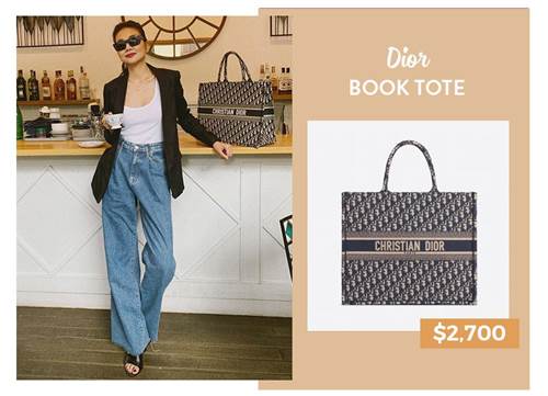 Tổng hợp Túi Christian Dior Book Tote giá rẻ bán chạy tháng 82023   BeeCost