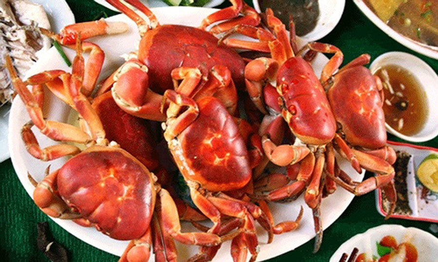 Cua xe tăng trứ danh Việt Nam, cứng như đá, chuyên ăn thịt con mồi-1