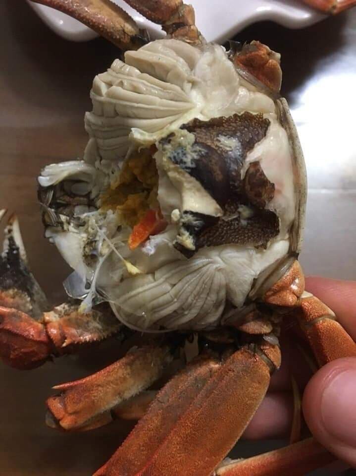 Cua xe tăng trứ danh Việt Nam, cứng như đá, chuyên ăn thịt con mồi-2