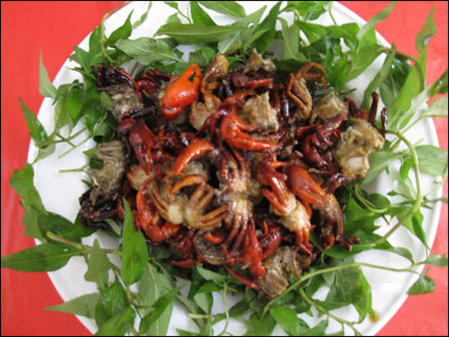 Cua xe tăng trứ danh Việt Nam, cứng như đá, chuyên ăn thịt con mồi-5