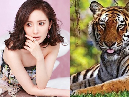 Trong 3 tháng tới, 3 con giáp này thừa hưởng phúc khí trời ban, sự nghiệp thuận lợi suôn sẻ, tài vận và may mắn mỗi tháng mỗi tăng-4