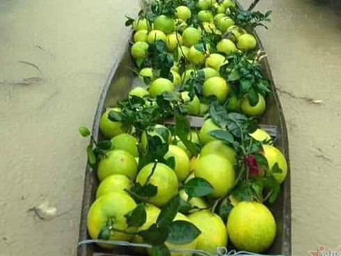 Một ngày bán vạn quả bưởi, cán bộ Hà Tĩnh mướt mồ hôi làm shiper-9