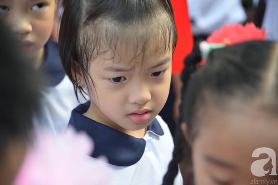 Khoảnh khắc khó quên trong lễ khai giảng sáng nay: Năm học mới bắt đầu nhưng mùa hè ngủ nướng vẫn chưa kết thúc-8