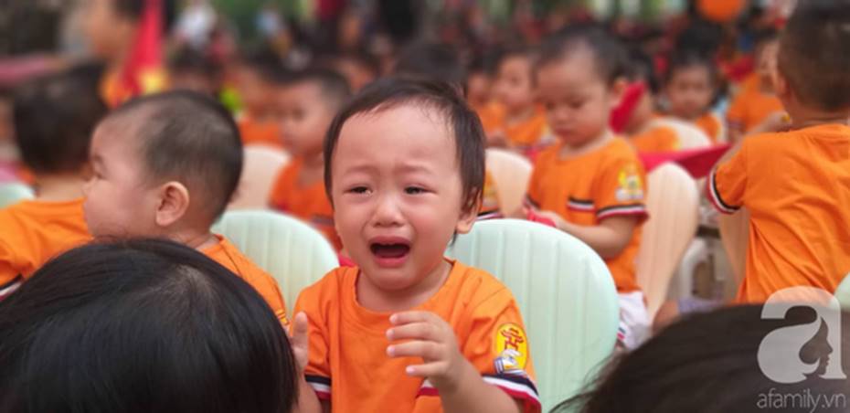 Khoảnh khắc khó quên trong lễ khai giảng sáng nay: Năm học mới bắt đầu nhưng mùa hè ngủ nướng vẫn chưa kết thúc-10