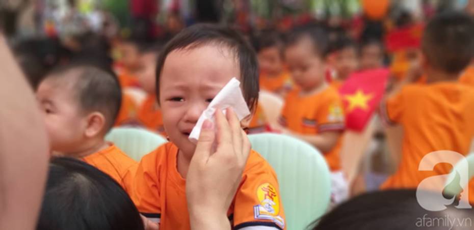 Khoảnh khắc khó quên trong lễ khai giảng sáng nay: Năm học mới bắt đầu nhưng mùa hè ngủ nướng vẫn chưa kết thúc-11