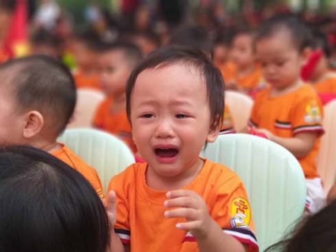 Ngôi trường THPT ở Hà Nội được khen ngợi hết lời vì thả chim bồ câu thay vì thả bóng bay ngày khai giảng để tránh ô nhiễm môi trường-18