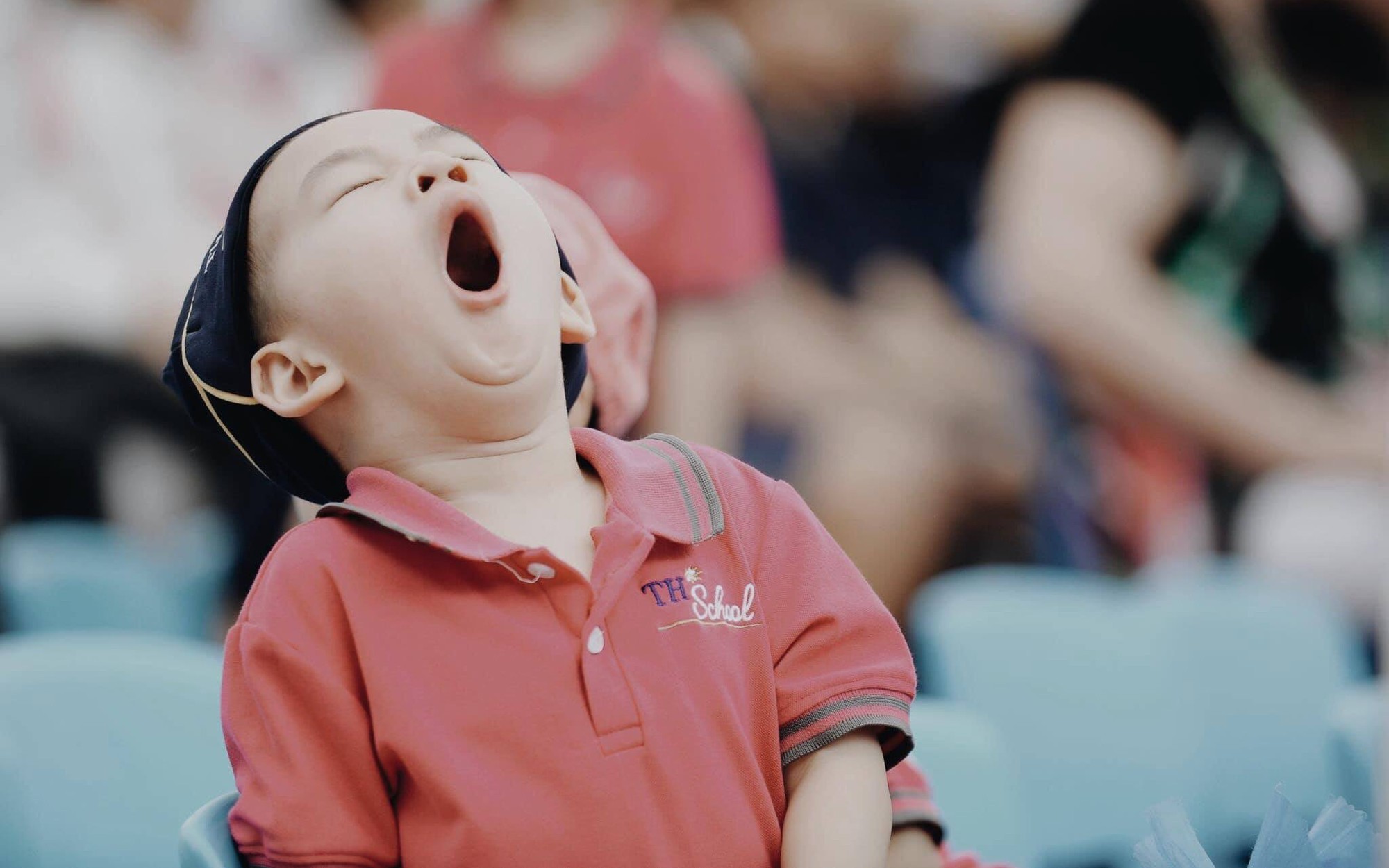 Khoảnh khắc khó quên trong lễ khai giảng sáng nay: Năm học mới bắt đầu nhưng mùa hè ngủ nướng vẫn chưa kết thúc-3