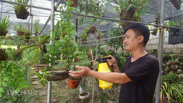 8X Lạng Sơn mê phong lan rừng: Kiếm trăm triệu từ 1 câu nhỡ mồm-4