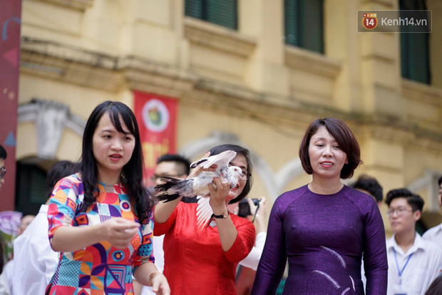 Ngôi trường THPT ở Hà Nội được khen ngợi hết lời vì thả chim bồ câu thay vì thả bóng bay ngày khai giảng để tránh ô nhiễm môi trường-7