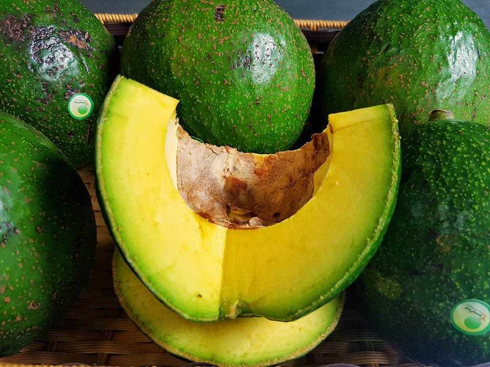 Tổng hợp 7 loại bơ được bán phổ biến nhất hiện nay trên thị trường Việt-3