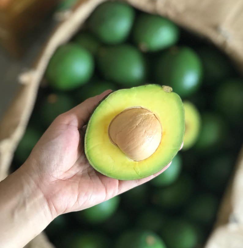 Tổng hợp 7 loại bơ được bán phổ biến nhất hiện nay trên thị trường Việt-6