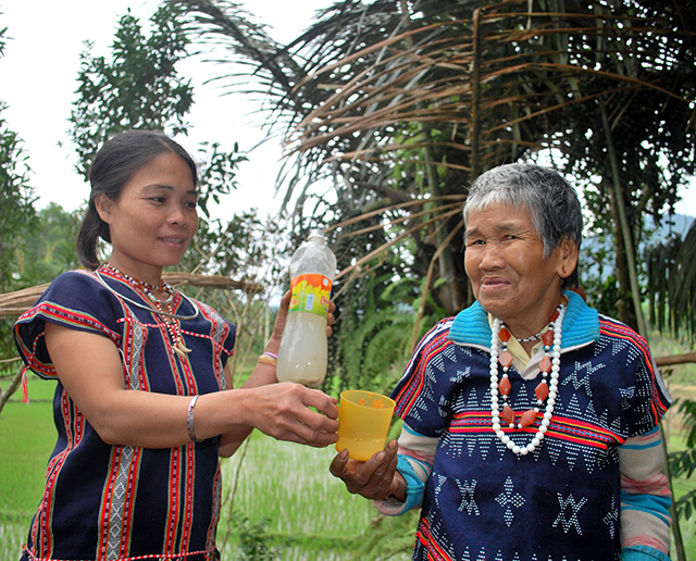 Lạ kỳ dừa núi cho rượu: Hễ khách đến nhà, đàn bà cũng trèo lên lấy rượu-2