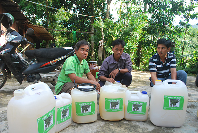 Lạ kỳ dừa núi cho rượu: Hễ khách đến nhà, đàn bà cũng trèo lên lấy rượu-4