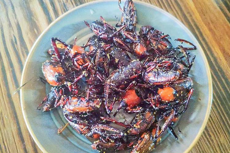 Loại bọ chuyên ăn tre, trẻ em TQ thường đi vào rừng bắt về xào-4