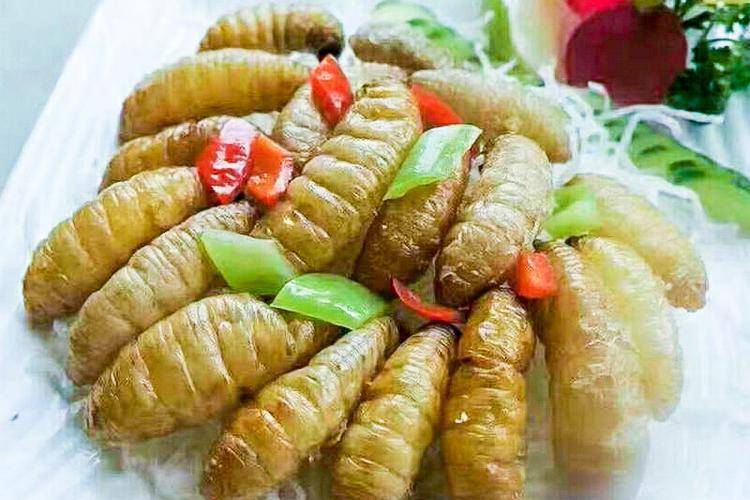 Loại bọ chuyên ăn tre, trẻ em TQ thường đi vào rừng bắt về xào-5