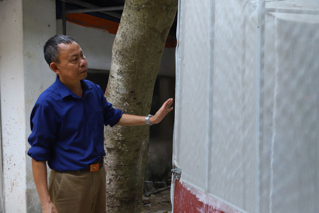 55 cây vàng và kỳ tích của ông chủ biệt phủ lợn ở Đầm Lác-3