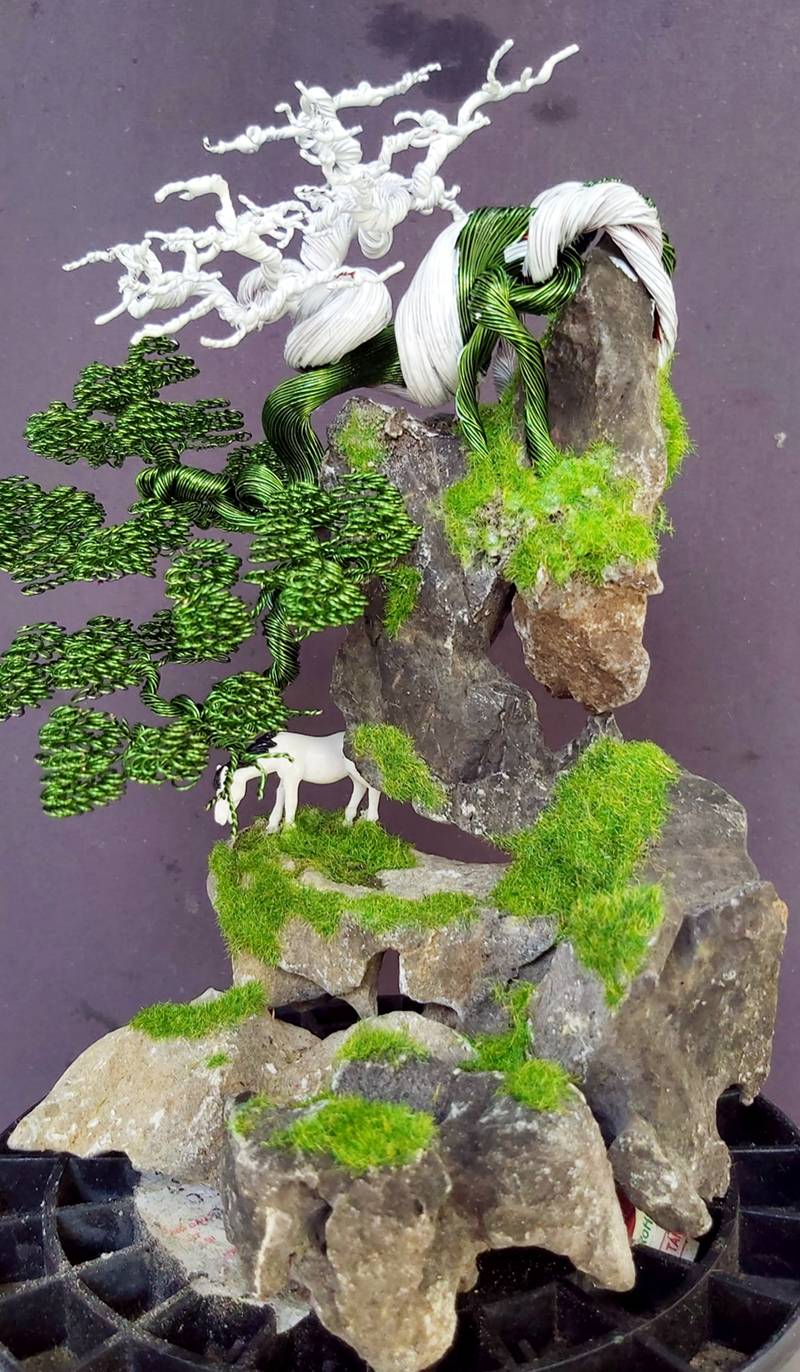 Hot boy An Giang hô biến sợi dây đồng thành cây bonsai dáng lạ-4