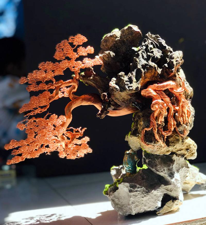 Hot boy An Giang hô biến sợi dây đồng thành cây bonsai dáng lạ-5