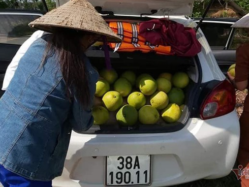 Chiêm ngưỡng bộ đôi Honda SH 2 tỷ, đắt ngang xe sang Mercedes-3