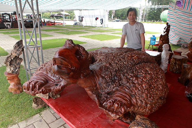 Cụ rùa tỏa hương thơm có giá tới nửa tỷ-1