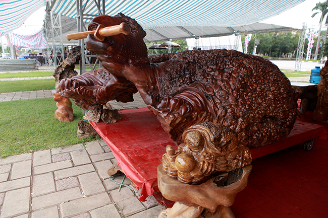 Cụ rùa tỏa hương thơm có giá tới nửa tỷ-5