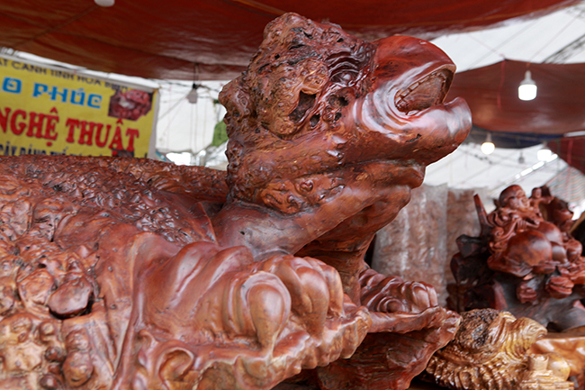 Cụ rùa tỏa hương thơm có giá tới nửa tỷ-12