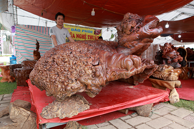 Cụ rùa tỏa hương thơm có giá tới nửa tỷ-16