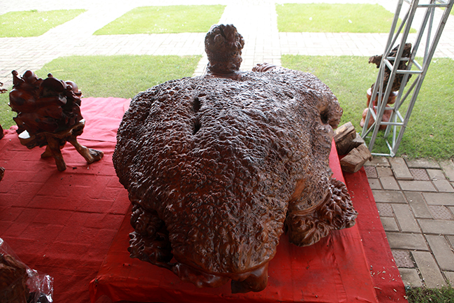 Cụ rùa tỏa hương thơm có giá tới nửa tỷ-6