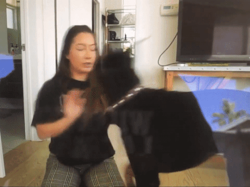 Người đàn ông đi xe máy kéo lê chú chó trên đường gây phẫn nộ-1