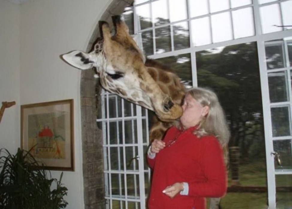 Chị em sững sờ khi bất ngờ bị... sàm sỡ-10