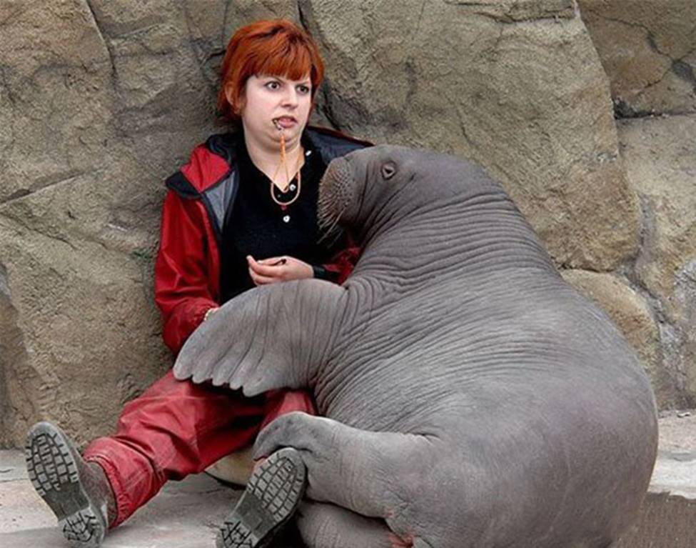 Chị em sững sờ khi bất ngờ bị... sàm sỡ-11