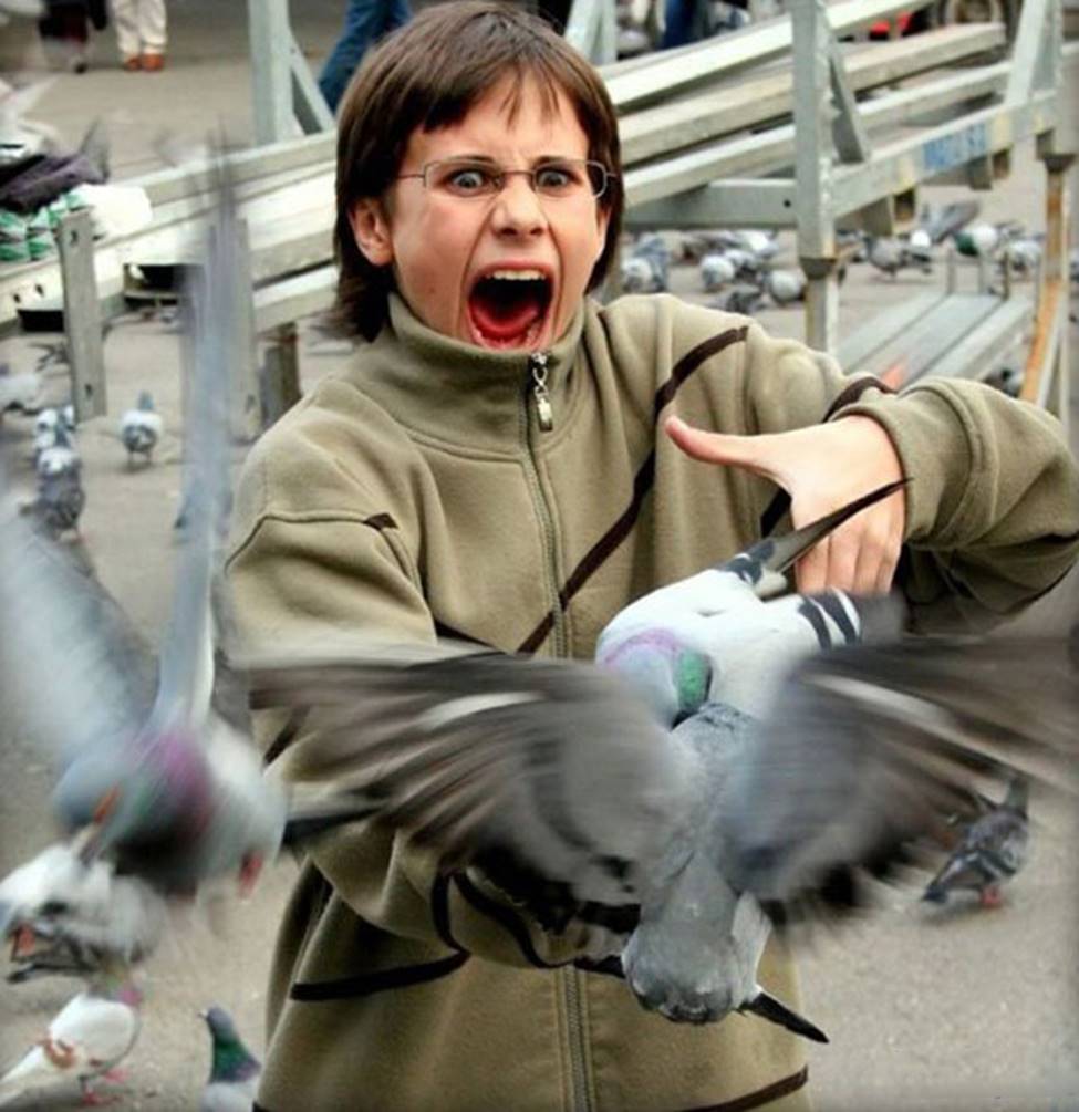 Chị em sững sờ khi bất ngờ bị... sàm sỡ-12