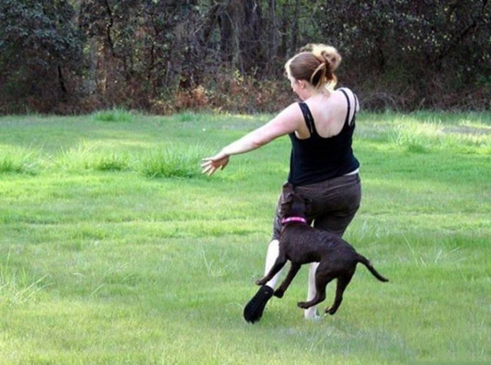 Chị em sững sờ khi bất ngờ bị... sàm sỡ-6