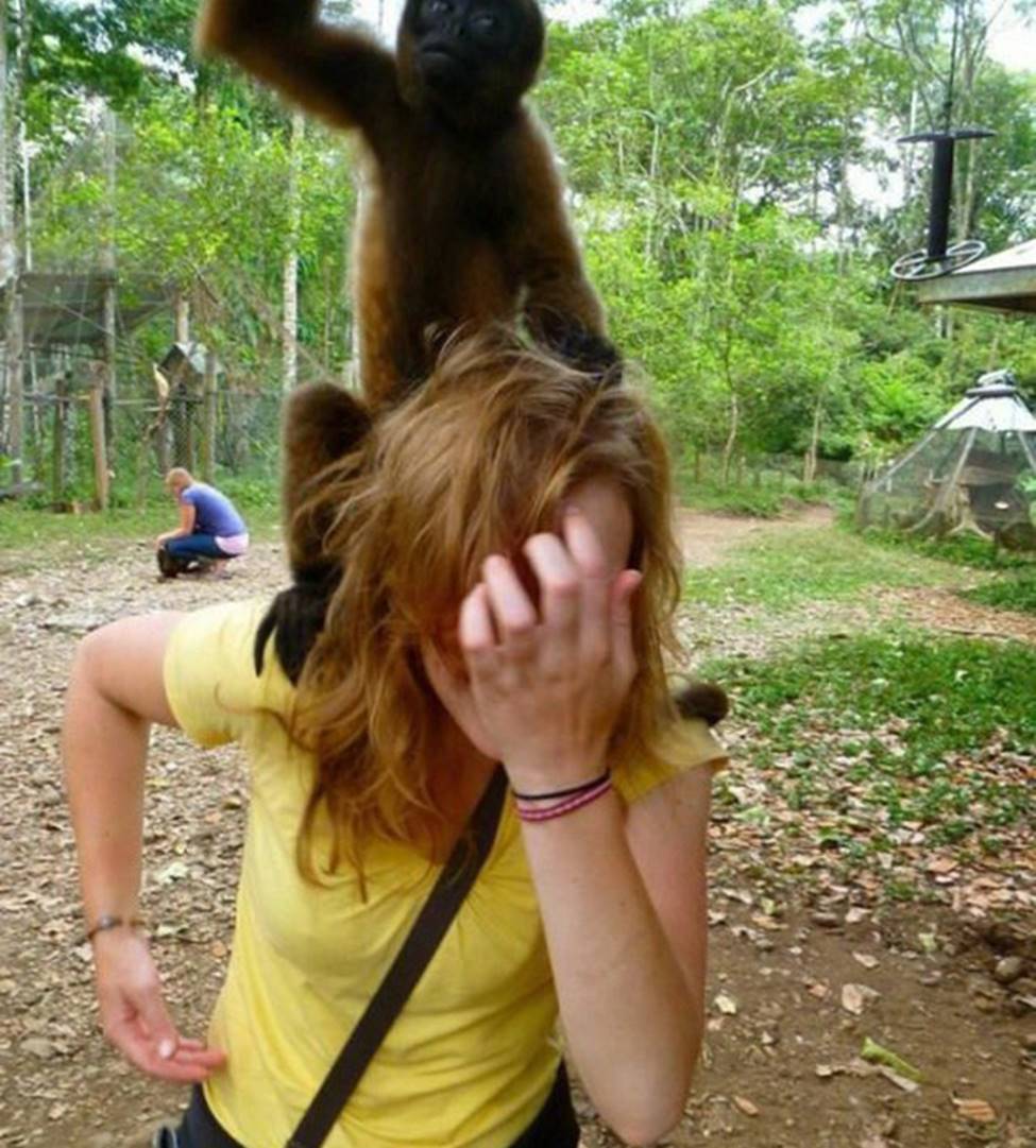 Chị em sững sờ khi bất ngờ bị... sàm sỡ-7