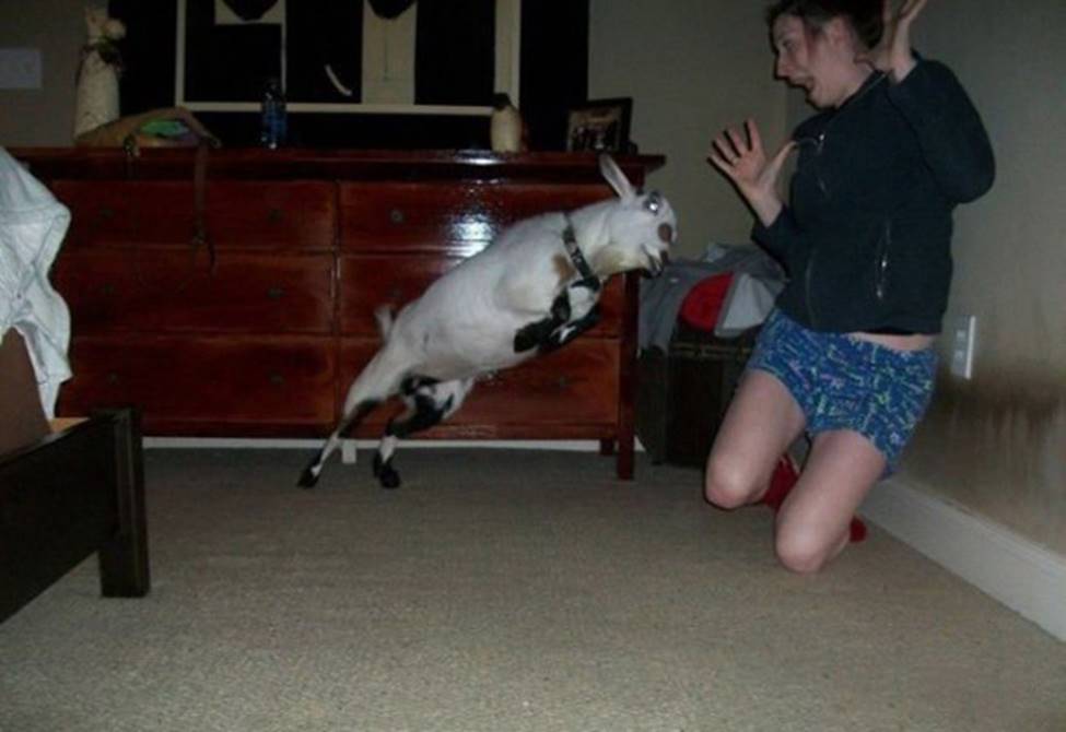 Chị em sững sờ khi bất ngờ bị... sàm sỡ-8