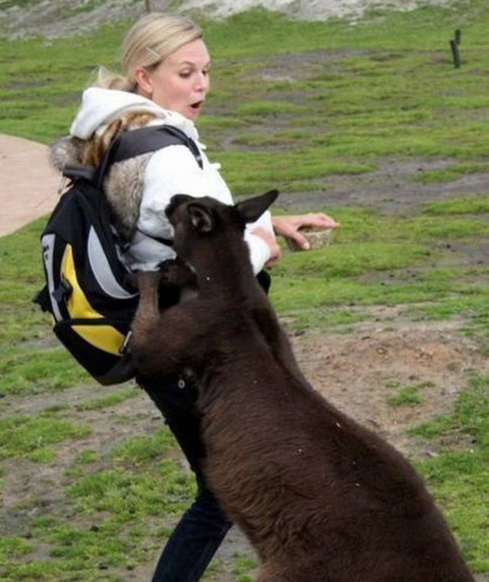 Chị em sững sờ khi bất ngờ bị... sàm sỡ-14