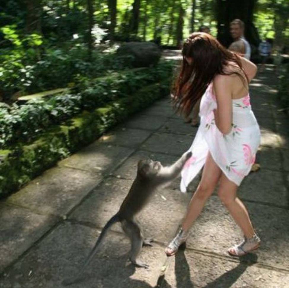 Chị em sững sờ khi bất ngờ bị... sàm sỡ-15