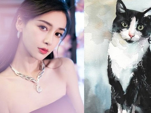 Phụ nữ sở hữu tướng mặt ngũ hành thì xác định vượng phu ích tử, cuộc sống trung vận đến hậu vận chỉ có từ giàu có đến viên mãn-6