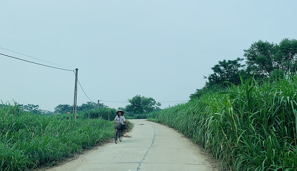 Làng vàng trắng tỷ phú ven sông Hồng, 1 năm chia nhau 400 tỷ-2