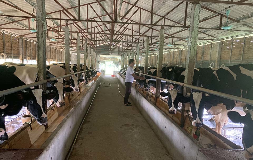 Làng vàng trắng tỷ phú ven sông Hồng, 1 năm chia nhau 400 tỷ-1