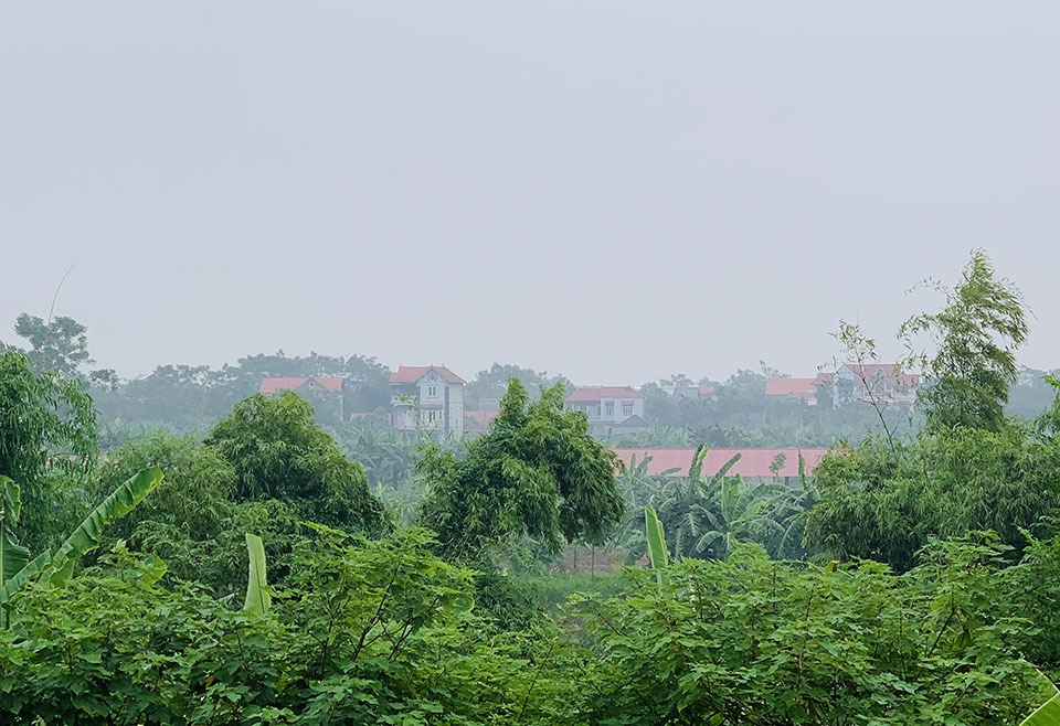 Làng vàng trắng tỷ phú ven sông Hồng, 1 năm chia nhau 400 tỷ-4