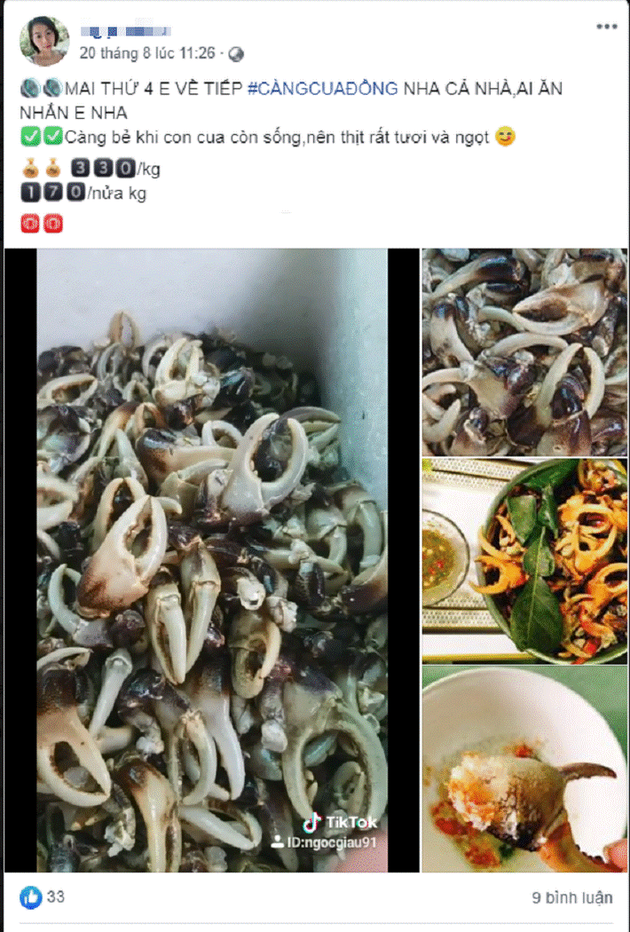 Thực hư giá càng cua đồng 500.000 đồng/kg đang hot rần rần, được cho là có tiền cũng khó mà mua được-2