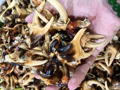 Cua pha lê hơn 4 triệu đồng/con, người Việt vẫn giành nhau mua-3