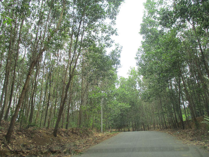 TT-Huế: Biệt phủ 6,5 tỷ tráng lệ, xe hơi xịn ở xã này là của ai?-2