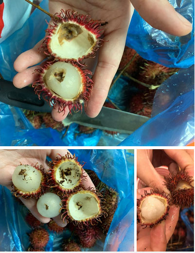 Mua chôm chôm online ở cửa hàng nổi tiếng, mẹ trẻ gặp cảnh thối 9/10 quả, nhưng tệ nhất là thái độ của nhân viên-2