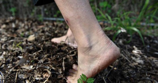 Whitmore - căn bệnh gây ra bởi vi khuẩn ăn thịt người tưởng đã bị lãng quên ở Việt Nam nhưng vừa khiến 4 người tử vong thực sự nguy hiểm thế nào?-2