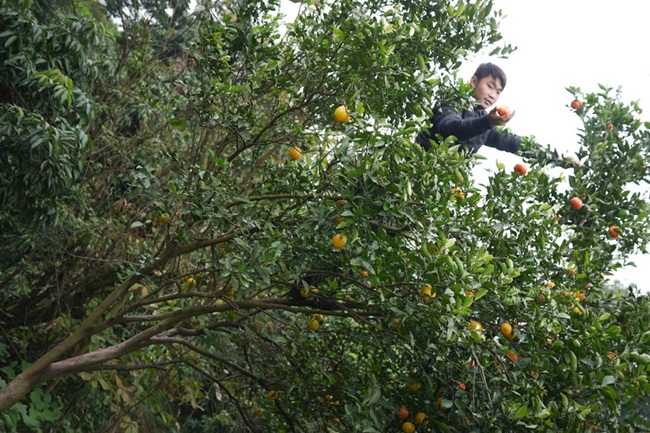 Trước bà Tân Vlog, chàng trai này đã kiếm hơn 30 triệu/tháng nhờ livestream-2