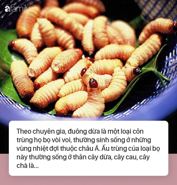 Sốc phản vệ khi ăn đuông dừa, nhộng tằm: Ai cũng cần biết những điều này để bảo vệ sức khỏe, tính mạng-1
