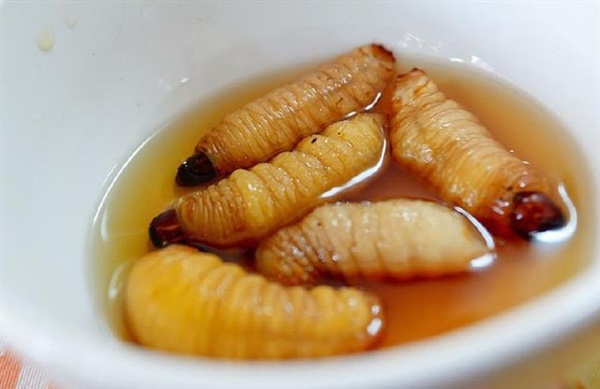 Sốc phản vệ khi ăn đuông dừa, nhộng tằm: Ai cũng cần biết những điều này để bảo vệ sức khỏe, tính mạng-3